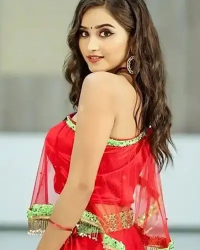 Escort In Arera Colony